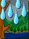 雨