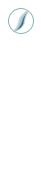 ���˶���