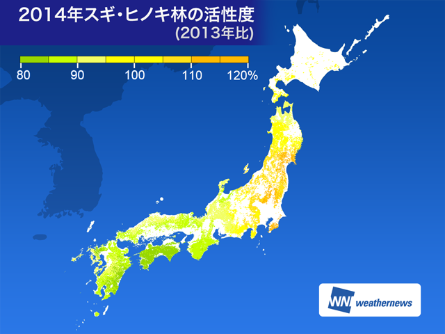 みんなからの雄花リポート