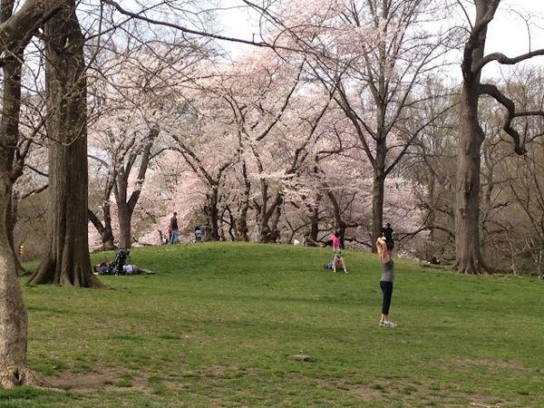 ＮＹ・セントラルパーク