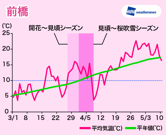 気温グラフ高崎