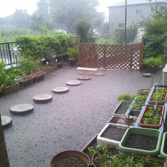 関東でゲリラ雷雨