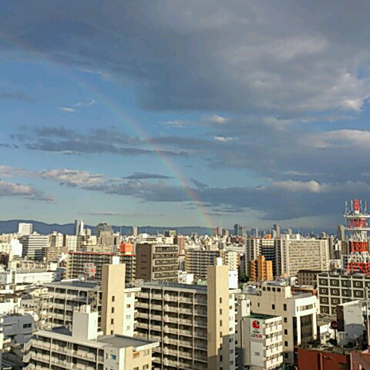 夕立後の贈り物