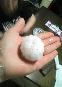 巨大ヒョウリポート2