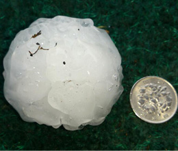 巨大ヒョウリポート3