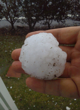 巨大ヒョウリポート4