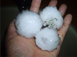 巨大ヒョウリポート5