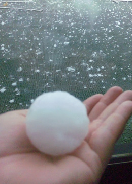 巨大ヒョウリポート6