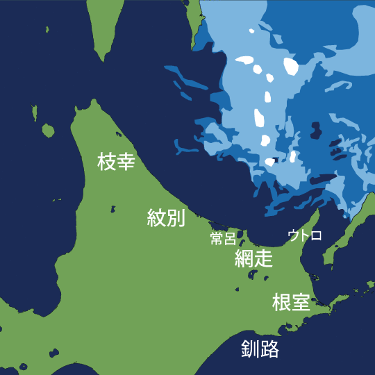 現在の流氷の様子