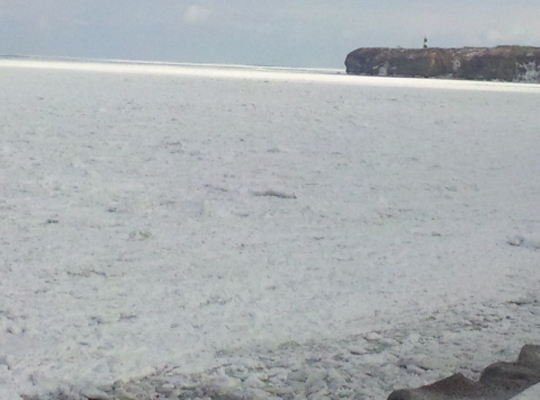 流氷接岸初日