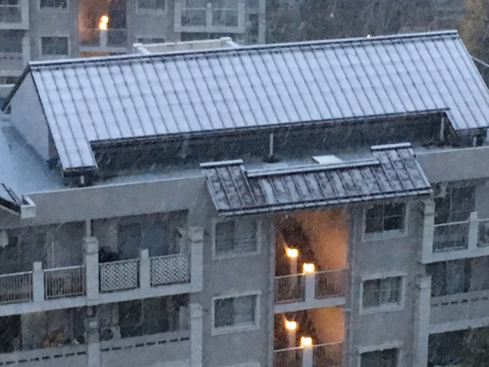 初雪ページ 投稿詳細｜MOTOCLE