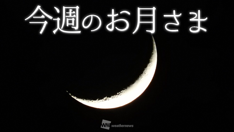 今週のお月さま】写真でふり返る今年の月 | ウェザーニュース