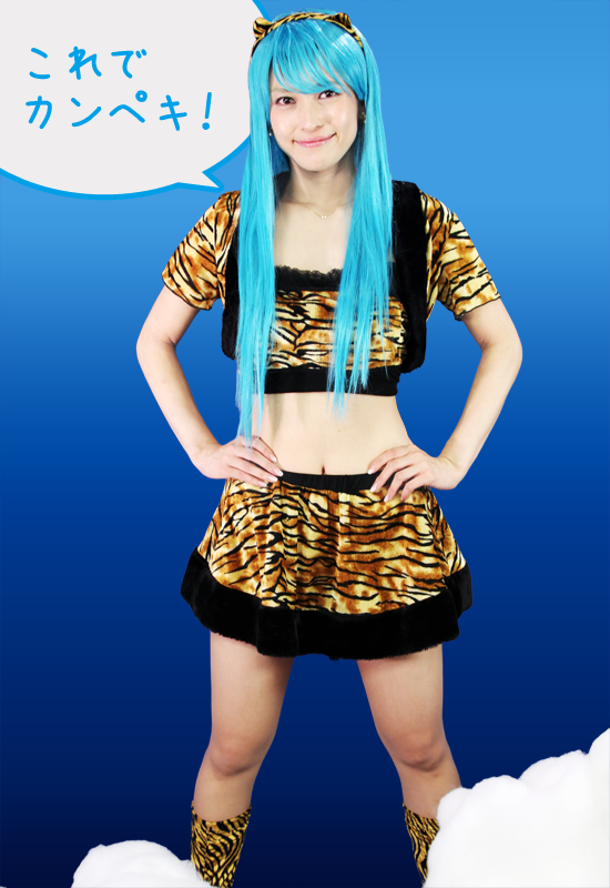 これでカンペキ！