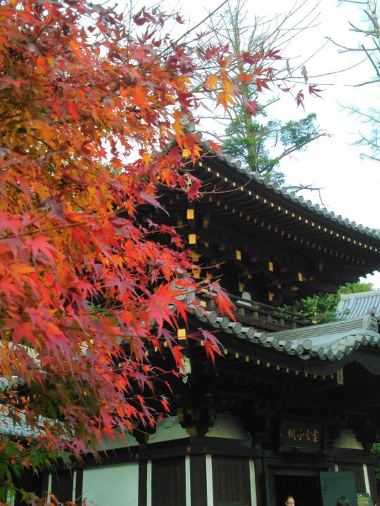 中国