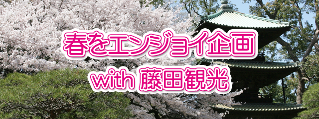 藤田観光プレゼント企画