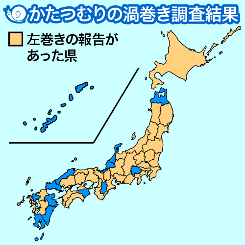 かたつむりの渦巻き調査結果