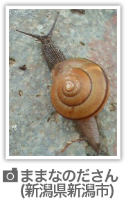 リポート写真#01