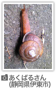 リポート写真#02