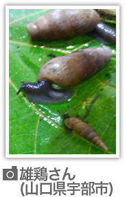 リポート写真#03