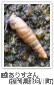 リポート写真#04