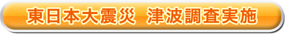 東日本大震災津波調査実施