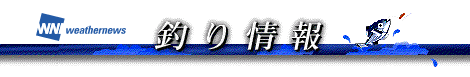 釣り情報