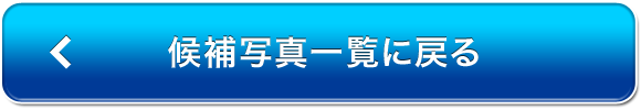 候補写真一覧に戻る