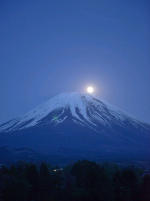 淡き輝きパール富士