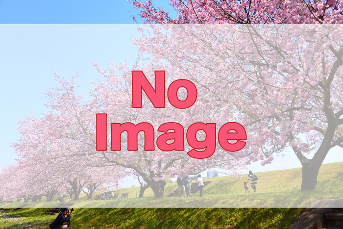 県 開花 千葉 桜 千葉で2～3月に河津桜が見たい！おすすめの早咲き桜並木3選