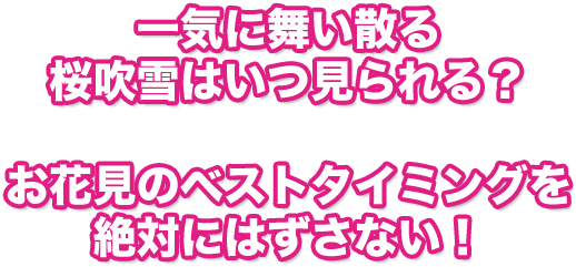 お花見のベストタイミングを絶対にはずさない！