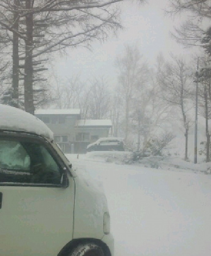 桜の木に雪の華が満開！試練の寒さと雪 | ウェザーニュース