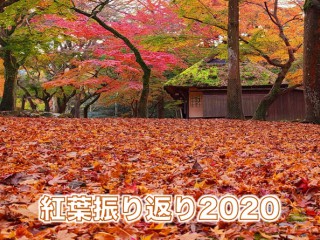 埼玉の紅葉見頃情報 紅葉ch 21 ウェザーニュース