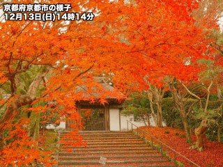 埼玉の紅葉見頃情報 紅葉ch 21 ウェザーニュース