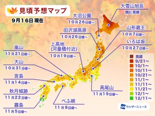 メタセコイア並木 滋賀 の紅葉見頃情報 紅葉名所 紅葉ch ウェザーニュース