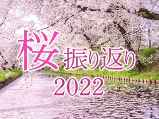 花見 桜名所情報 22 さくらch ウェザーニュース