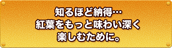 知るほど納得…紅葉をもっと味わい深く楽しむために。