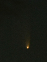 ライカＭ２さん