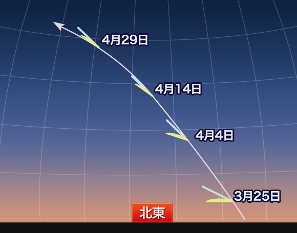 いつ・どこで見られる?